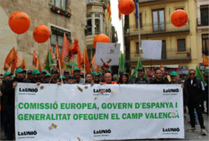 Más de 500 agricultores y 30 tractores salieron a las calles de Valencia