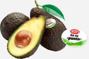 Vélez-Málaga bate récord con las exportaciones de aguacate y mango