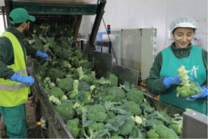 Récord de solicitudes de ayudas a las industrias agroalimentarias en Aragón