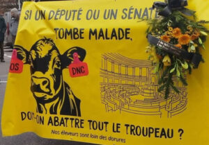 Protestas agrarias en Francia por sacrificios ganaderos y política agraria