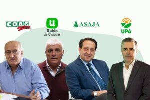 ¿Qué opinan las OPAS de Mercosur?