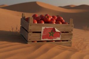 Se oficializa el etiquetado trampa para los productos de Marruecos