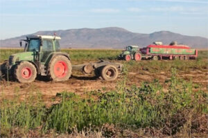 Los agricultores extremeños fijan en 137€/t el umbral de costes del tomate y piden no vender por debajo
