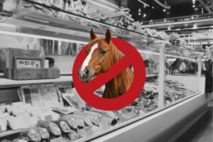 Italia estudia prohibir la carne de caballo