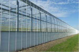 Holanda prorroga hasta 2030 su plan de ahorro energético en invernaderos