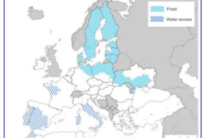 Heladas y lluvias extremas marcan el pulso de los cultivos de invierno en la UE
