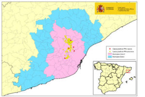 5 nuevos casos de PPA en jabalís en Barcelona