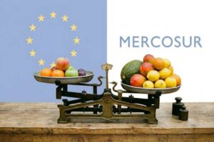 Mercosur no le viene nada bien al sector frutícola español: importamos más que exportamos