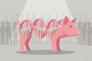 ¿Qué opina el consumidor sobre la carne de cerdo editada genéticamente?