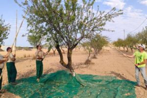 Aragón moviliza casi 10 millones de euros en préstamos para jóvenes agricultores y modernización