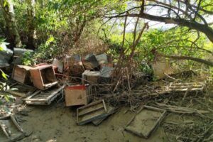Los apicultores acceden finalmente a las ayudas por borrascas