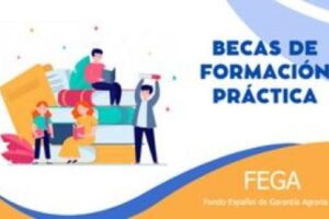 El FEGA convoca seis becas de formación práctica en gestión de la PAC para 2026