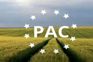 COAG solicita al Ministerio ampliar el plazo de la PAC 2026 ante el colapso administrativo