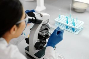 Castilla y León convoca 850.000 euros para doctorados industriales en el sector agroalimentario