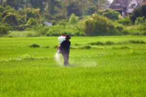 La UE reduce los LMR de tres plaguicidas prohibidos para agricultores comunitarios