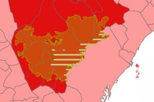 La conselleria catalana detecta 3 nuevos positivos de PPA en jabalíes en la zona de alto riesgo