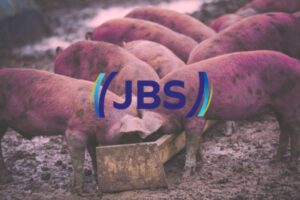 JBS: el socio del Mercosur que Europa prefirió no investigar