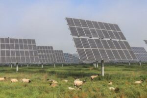 Bruselas constata una transformación estructural del campo ante los extremos climáticos
