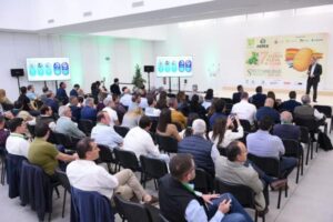 El sector de la patata nueva analiza en Sevilla su futuro entre el estancamiento del consumo y la falta de fitosanitarios
