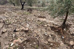 Las ayudas andaluzas por las borrascas quedarán exentas de tributar en el IRPF