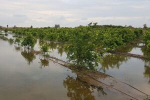 AVA-ASAJA rechaza ceder tierras para embalsar agua sin agotar las obras hidráulicas