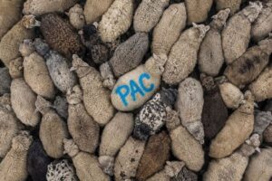 El Consejo de la UE aprueba los planes nacionales que fusionan la PAC con otros fondos europeos