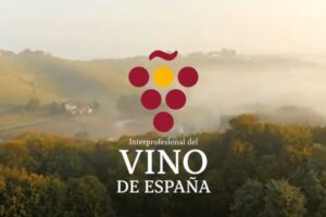El estudio de OIVE revela por qué no hay un modelo único de viticultura en España