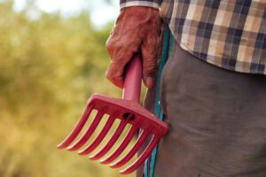 El Consejo de la UE aprueba nuevas reglas para reforzar la posición de los agricultores en la cadena alimentaria