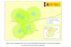 Castilla y León notifica el sexto foco de la enfermedad de Newcastle en Valladolid