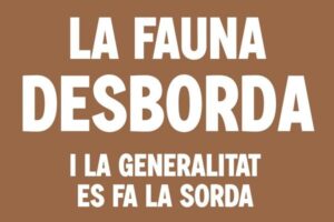 LA UNIÓ se concentrará ante la Generalitat por los daños de la fauna silvestre