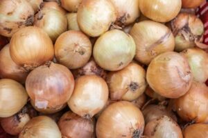 El desplome de la cebolla asfixia a los productores manchegos en el inicio de campaña