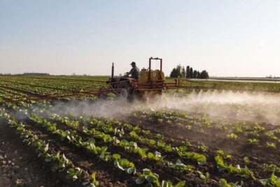 El Parlamento Europeo aprueba ayudas de liquidez de hasta el 80% de los sobrecostes de fertilizantes para los agricultores