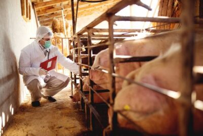 300 euros por asesoramiento: así se reparten las ayudas ganaderas en Andalucía