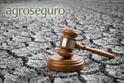 Diez años de espera por una sequía que Agroseguro no vio