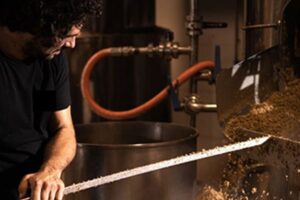 Hidrógeno verde a partir de los residuos de la industria cervecera