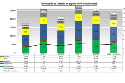 El MAPA prevé 18,5 Mt de cereales para 2026/27