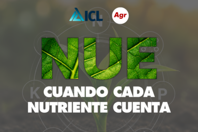 NUE: Cuando cada nutriente cuenta