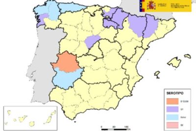 La lengua azul suma un nuevo foco en Badajoz en la temporada 2026-2027