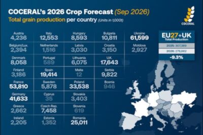Los comerciantes europeos recortan su estimación de cosecha de cereales