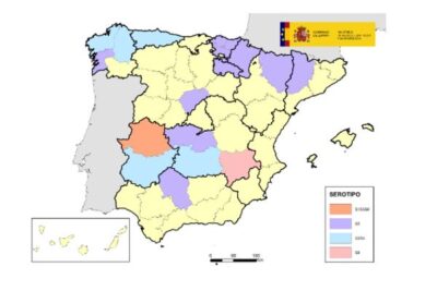 Nuevos focos de lengua azul del serotipo 3 en ovino en Córdoba, Toledo y Ciudad Real