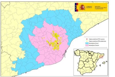 Nuevo foco de PPA en Cataluña: cuatro jabalíes positivos en Sant Cugat y El Papiol
