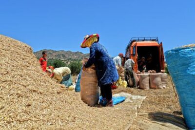 Los alimentos se encarecen un 5,8 % en un año, según la FAO
